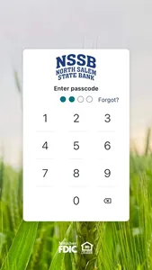 NSSB screenshot 1