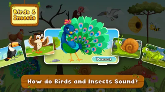 Animal Sound for learning screenshot 4