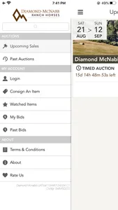 DiamondMcNabb screenshot 3