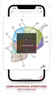 Netters Anatomy Flash Cards screenshot 3