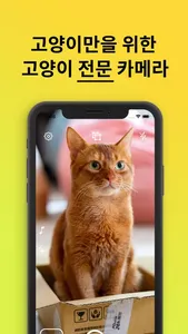 냥냥찰칵! screenshot 0