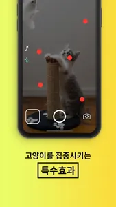 냥냥찰칵! screenshot 2