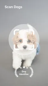 Dog Scanner: Scan by camera screenshot 0