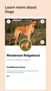 Dog Scanner: Scan by camera screenshot 4