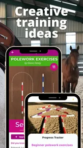 Polework Horse Riding Training screenshot 5