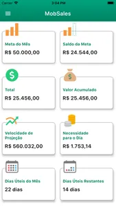 Areco MobSales screenshot 2