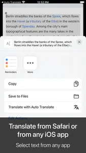 Auto Translate for Safari screenshot 2