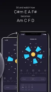 Chord Shifter by Transpo screenshot 3