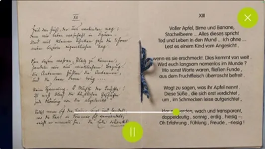 literaturbewegen screenshot 9