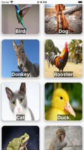 Animals Voices screenshot 0