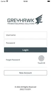 Greyhawk Premier Online screenshot 0