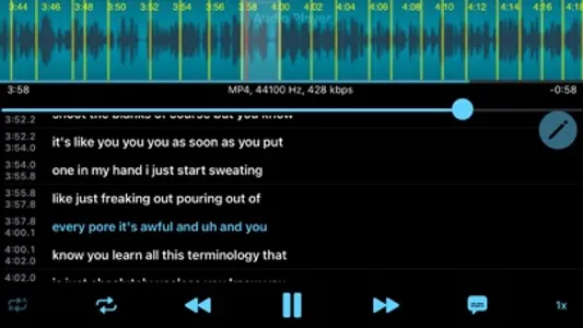 Audio Replayer screenshot 3