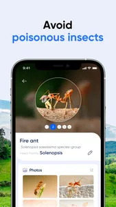 Bug ID: Insect Identifier AI screenshot 0