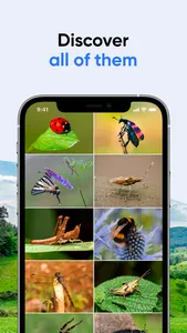 Bug ID: Insect Identifier AI screenshot 1