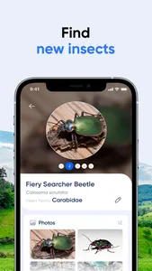 Bug ID: Insect Identifier AI screenshot 3