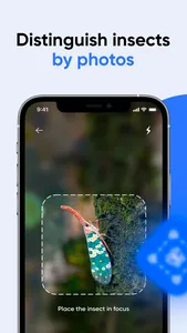 Bug ID: Insect Identifier AI screenshot 5