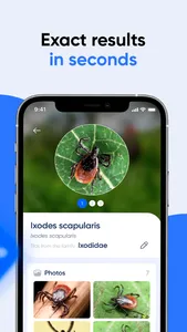 Bug ID: Insect Identifier AI screenshot 6