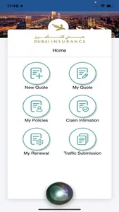 Dubai Insurance screenshot 8
