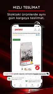 Petlebi screenshot 2