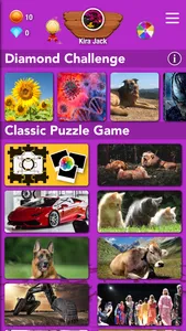 Puzzle Jigsaw ++ screenshot 0