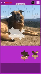 Puzzle Jigsaw ++ screenshot 3