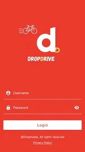 Dropdrive screenshot 0