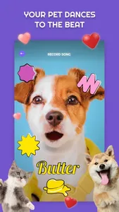 PetStar: My Pet Sings & Dances screenshot 4