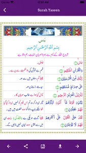 Surah Yaseen Offline screenshot 1