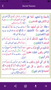 Surah Yaseen Offline screenshot 2