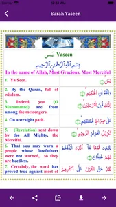 Surah Yaseen Offline screenshot 4