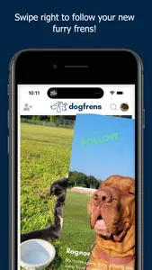 DogFrens screenshot 3