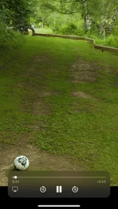 Fußballgolf am Humboldtsee screenshot 2