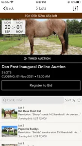 Dan Post Quarter Horse Auction screenshot 1