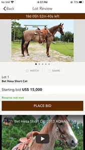 Dan Post Quarter Horse Auction screenshot 2