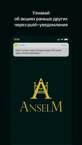 AnselM | Поставы screenshot 0