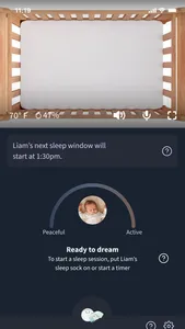 Owlet Dream screenshot 2