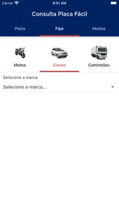 Consulta Placa Fácil -Veículos screenshot 2