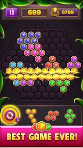 Hexa Block Puzzle Star Gem screenshot 2