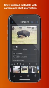 Nitro Photo screenshot 5