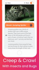 YipYap - Animal Discovery screenshot 7