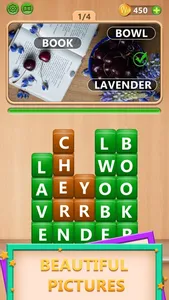 Word Pic Puzzle screenshot 0