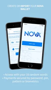 Nova-Wallet screenshot 1