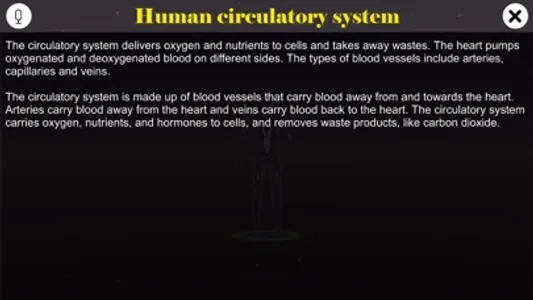 Circulatory system screenshot 0