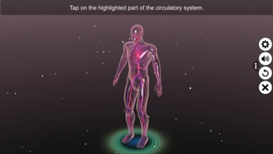 Circulatory system screenshot 1