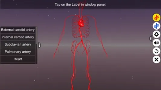 Circulatory system screenshot 5