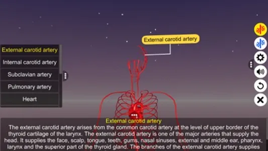 Circulatory system screenshot 6