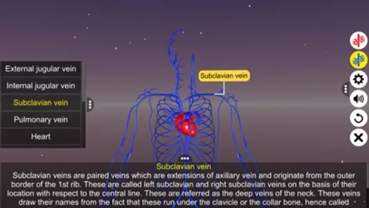 Circulatory system screenshot 8