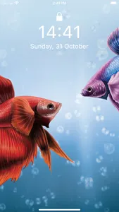 Betta Fish Wallpapers HD ! screenshot 1