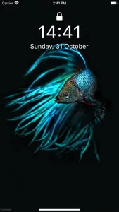 Betta Fish Wallpapers HD ! screenshot 2