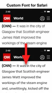 Any Font for Safari screenshot 0
